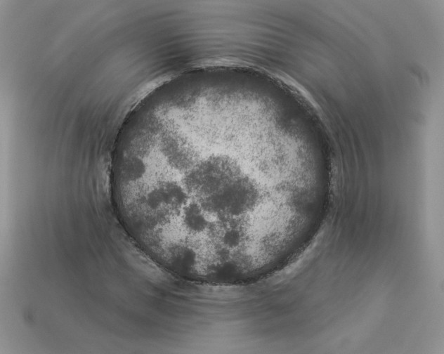 X0000113920921200910151436