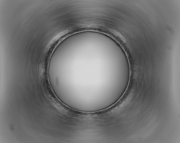 X0000113920922200910151436