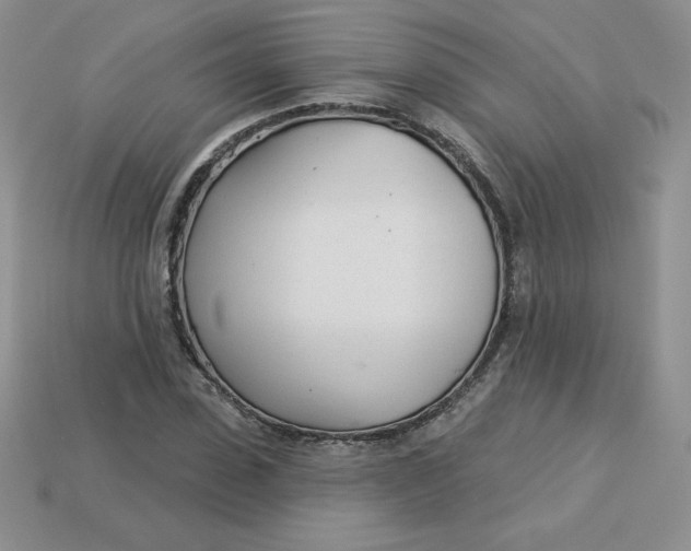 X0000113920923200910151436