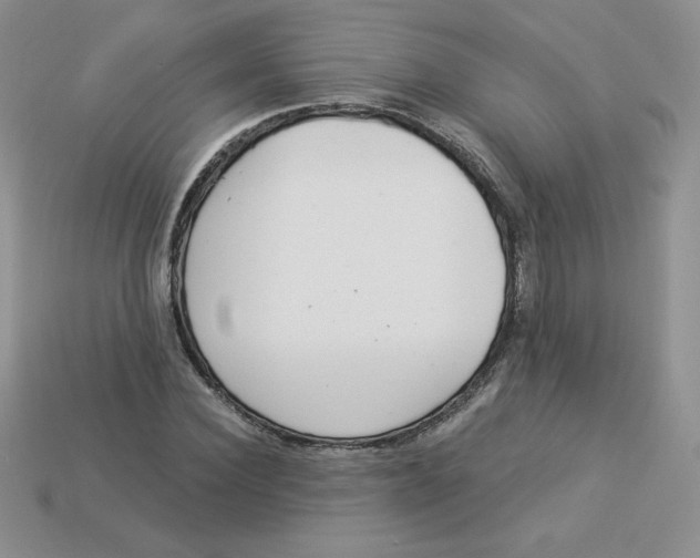 X0000113920924200910151436