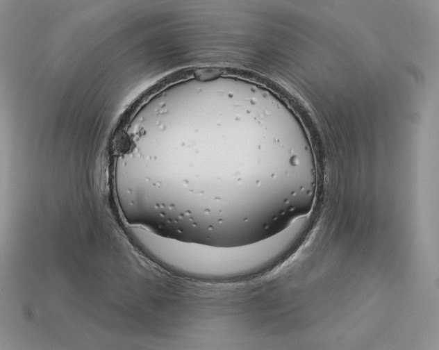 X0000113920925200910151436