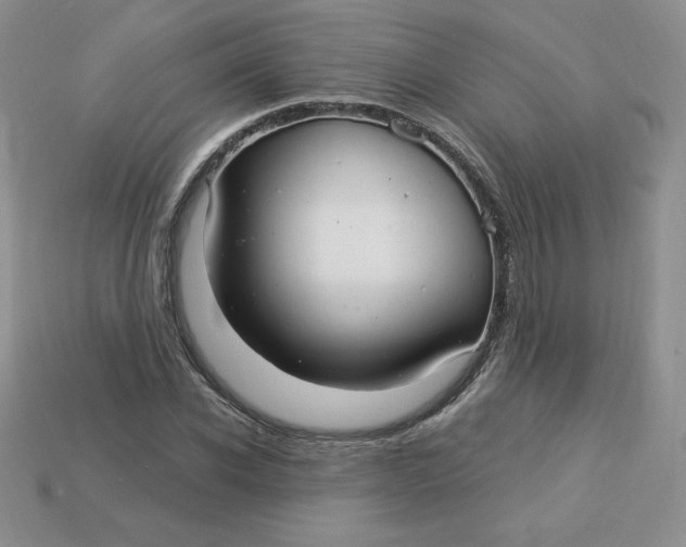 X0000113920926200910151436