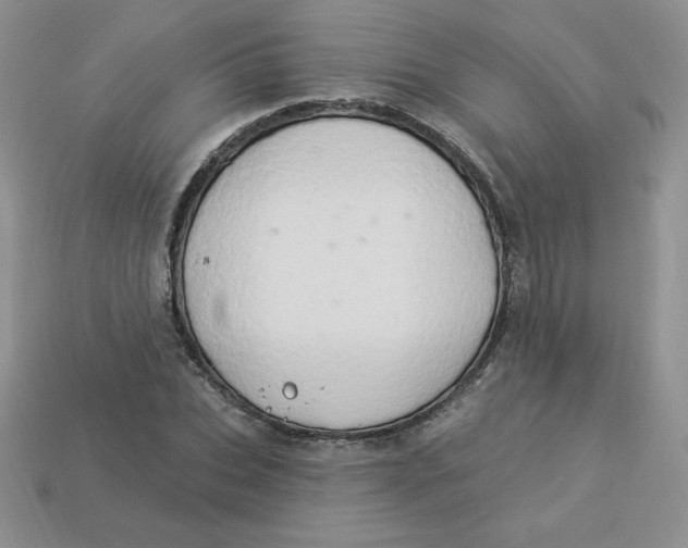 X0000113920927200910151436