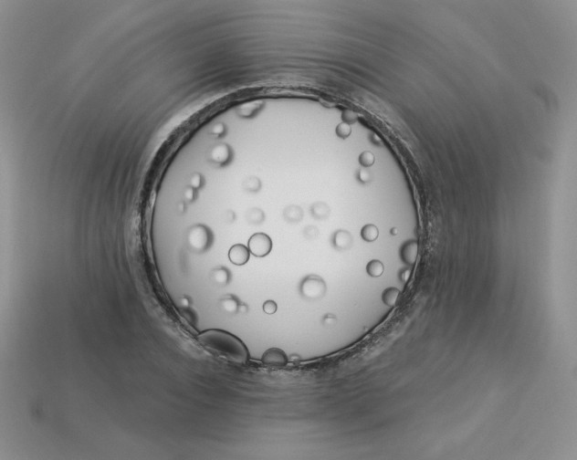 X0000113920928200910151436