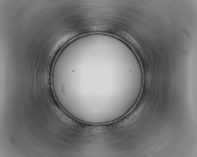 X0000113920930200910151436