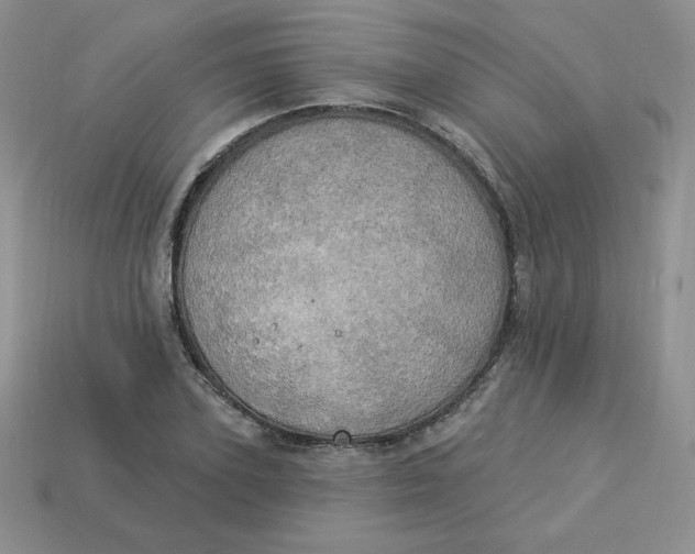 X0000113920931200910151436