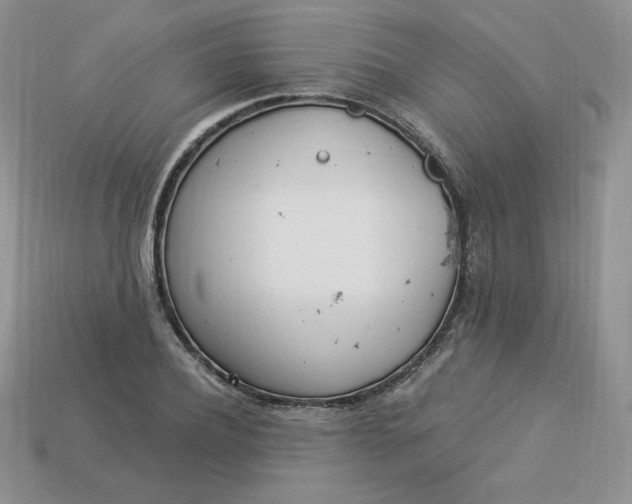 X0000113920932200910151436