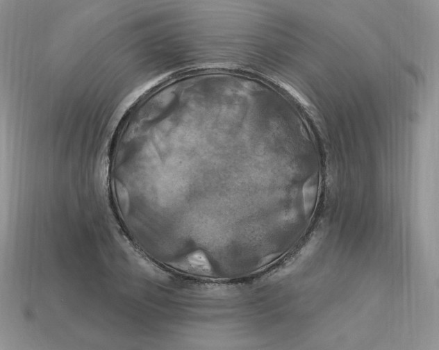 X0000113920933200910151436