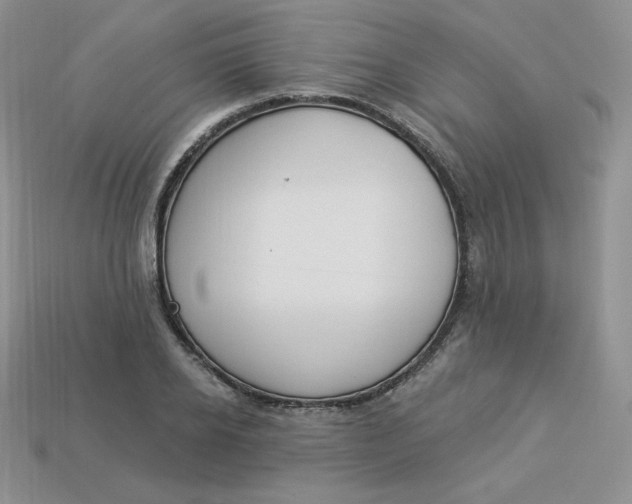 X0000113920934200910151436