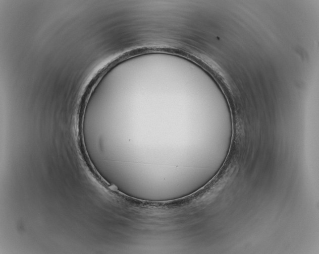 X0000113920935200910151436