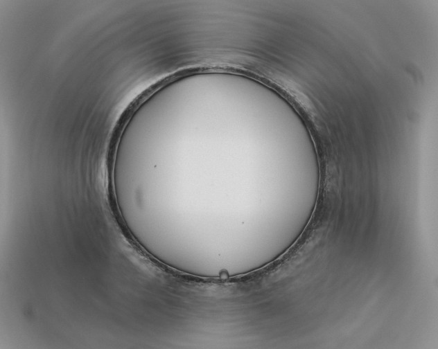 X0000113920936200910151436