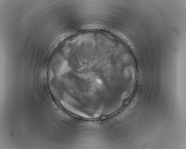 X0000113920937200910151436