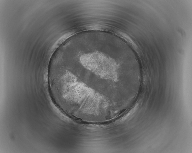 X0000113920938200910151436