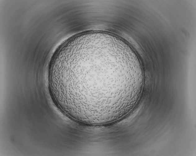 X0000113920939200910151436