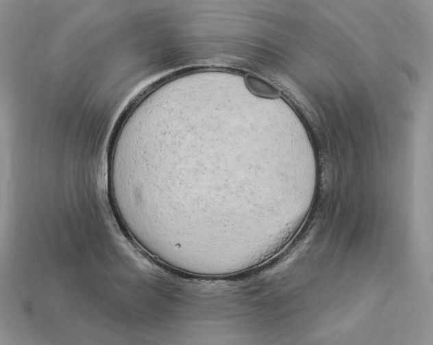 X0000113920940200910151436