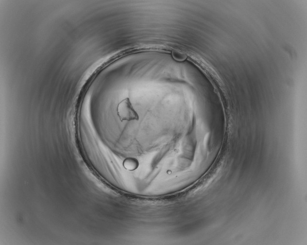 X0000113920941200910151436