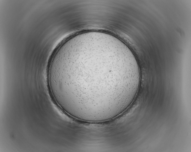 X0000113920942200910151436
