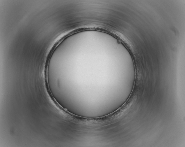 X0000113920943200910151436