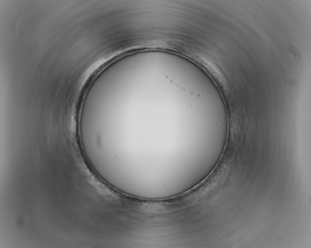 X0000113920944200910151436