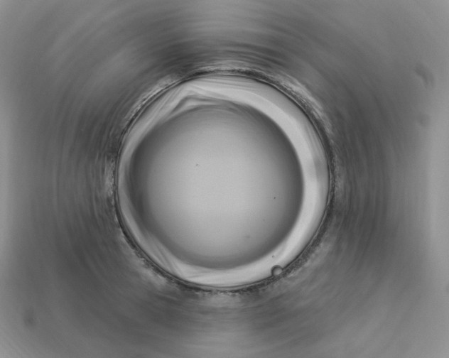 X0000113920945200910151436