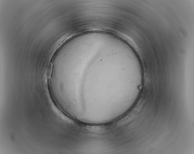 X0000113920946200910151436