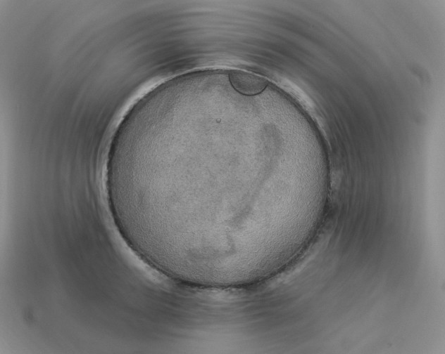 X0000113920947200910151436