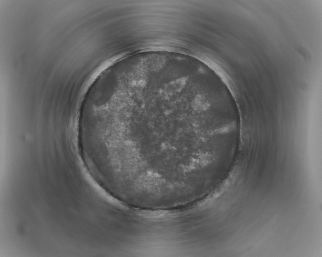 X0000113920949200910151436