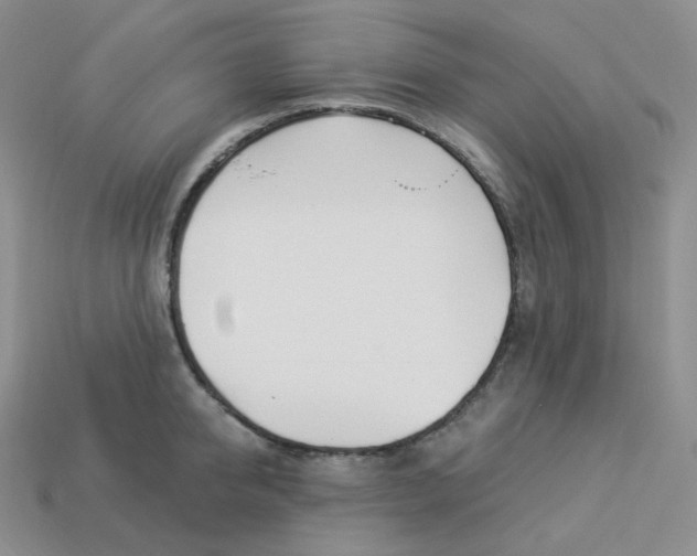 X0000113920950200910151436