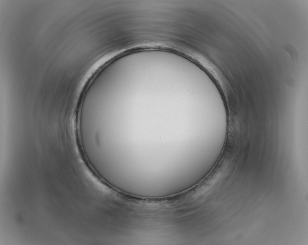 X0000113920951200910151436