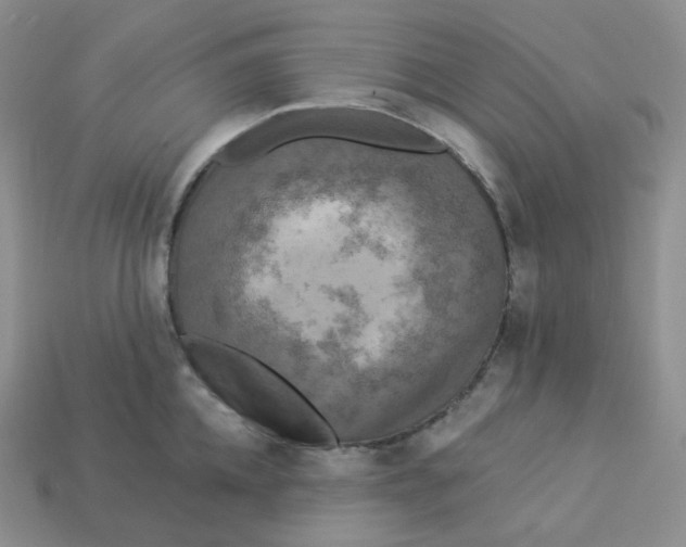 X0000113920952200910151436