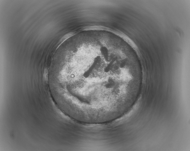 X0000113920953200910151436