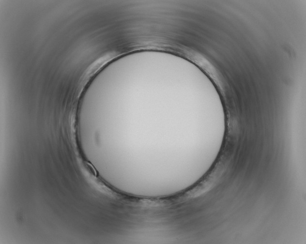 X0000113920954200910151436