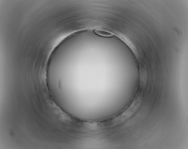X0000113920956200910151436