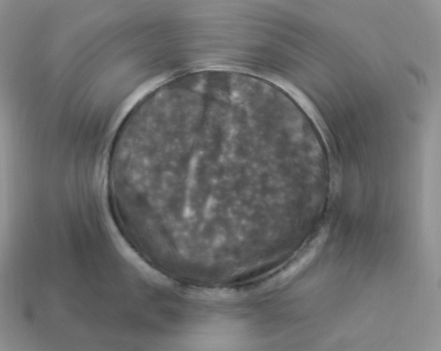 X0000113920957200910151436