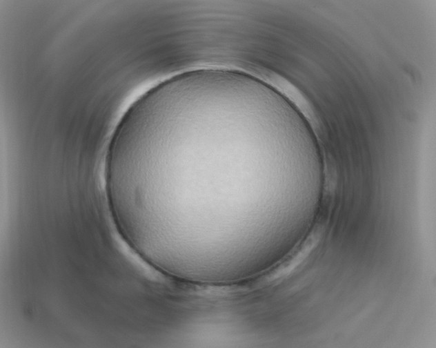 X0000113920958200910151436