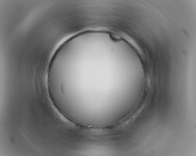 X0000113920959200910151436