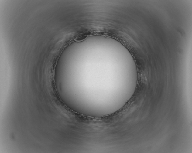 X0000113920961200910151436