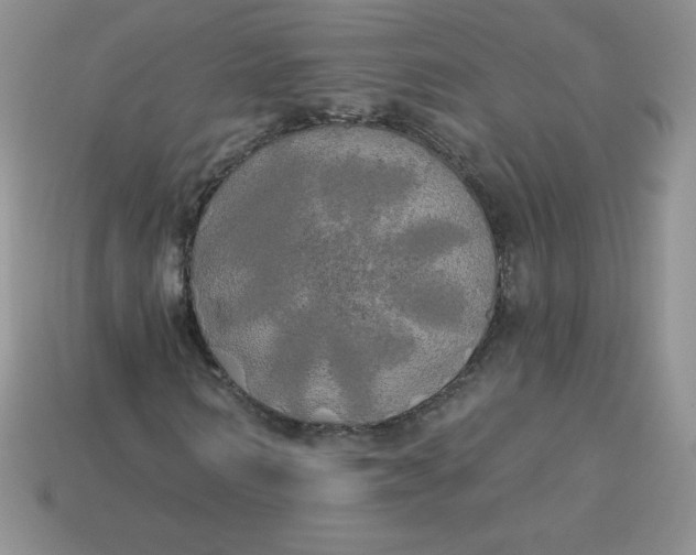 X0000113920962200910151436