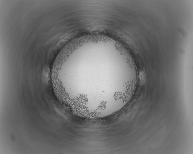 X0000113920963200910151436
