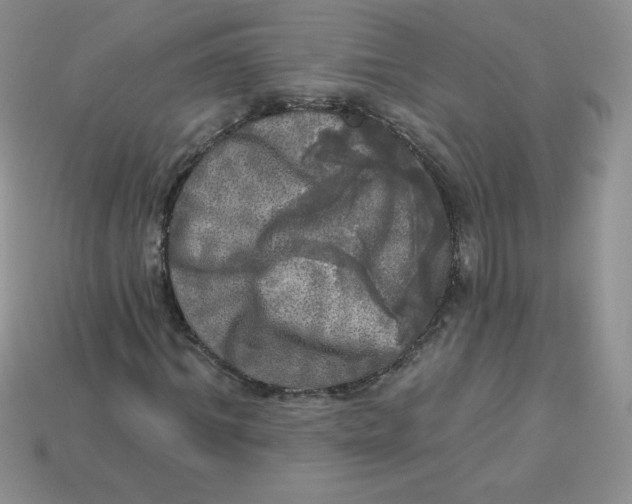 X0000113920964200910151436