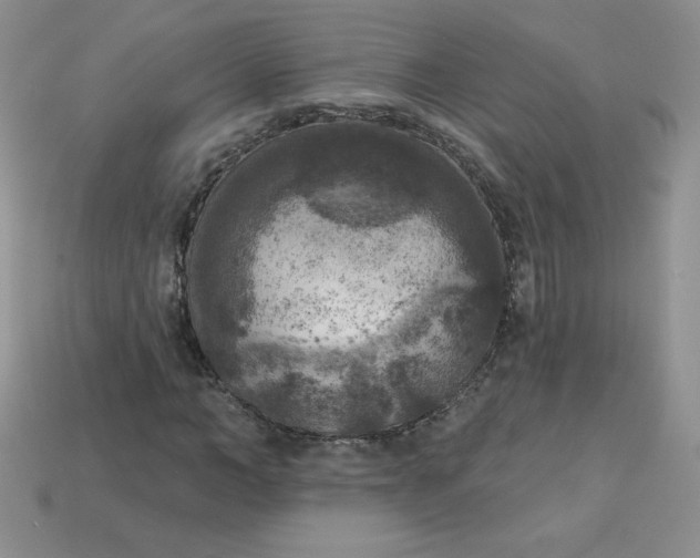 X0000113920966200910151436