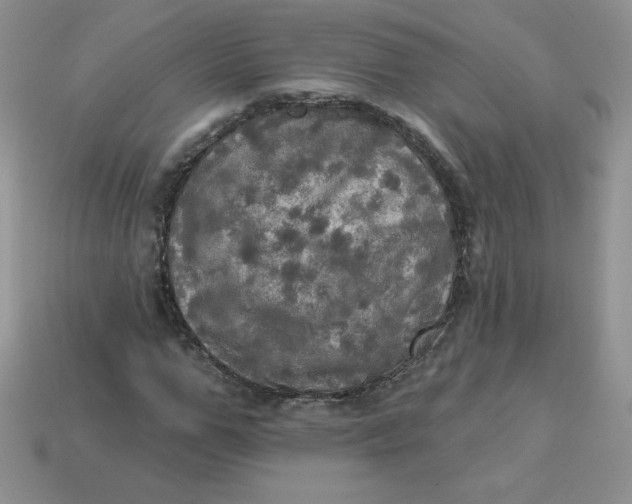 X0000113920967200910151436