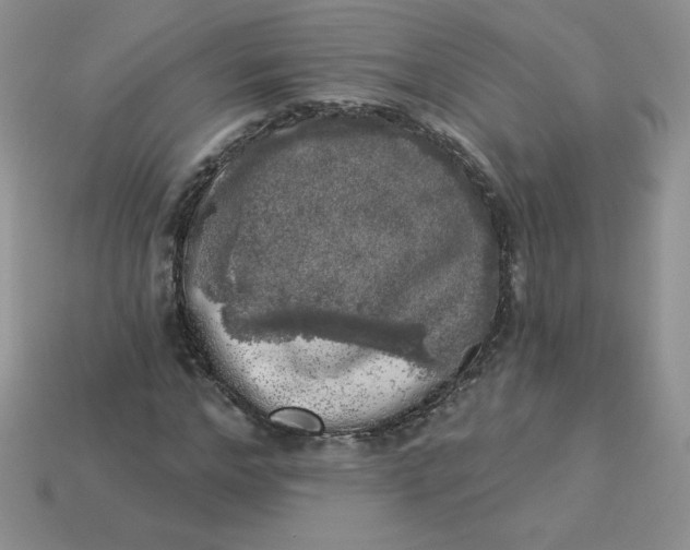 X0000113920968200910151436