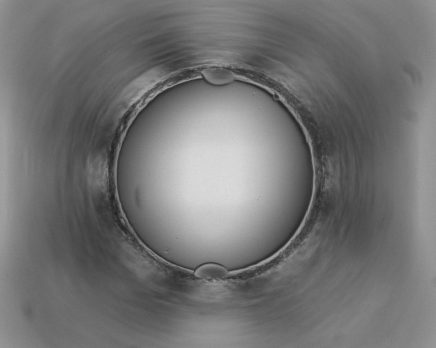 X0000113920969200910151436