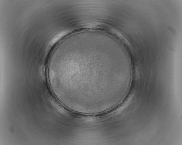 X0000113920970200910151436
