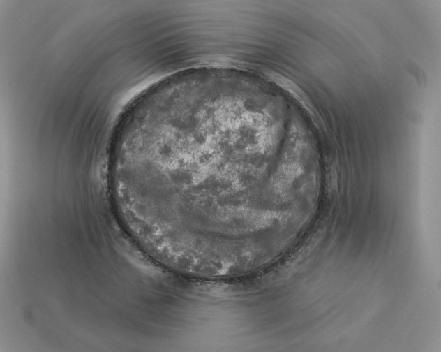 X0000113920971200910151436