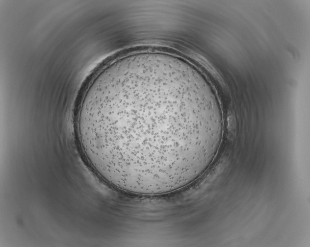 X0000113920972200910151436