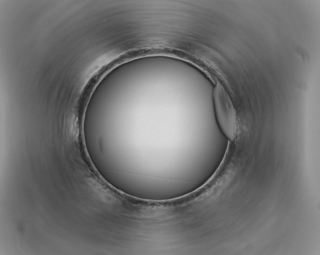 X0000113920973200910151436