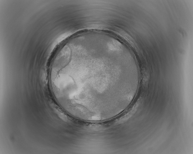 X0000113920974200910151436