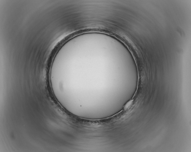 X0000113920975200910151436